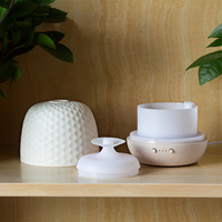 SCENTCARES Pure Plante Huile Essentielle Led Diffuseur Caoutchouc Bois Base Céramique Aromathérapie Pulvérisation Air Froid Humidificateur Diffuseur