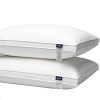Oreiller de maison oblong à un seul coussin, qualité hôtel cinq étoiles, 200 fils/cm², polyester plié, uni, fabricant transfrontalier