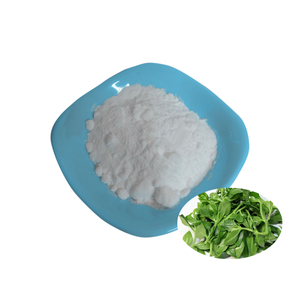 Hochwertiges Paniculata-Blätterxtraktpulver Andrographolide-Pulver 98 % Andrographolide - Product Image 1