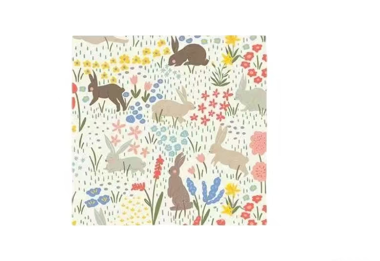 NAPKIN*16PCS