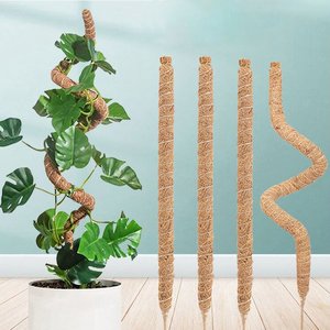 Palmstcke  langlebige und vielseitige Lsungen