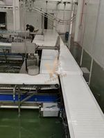 Nouvelle Scie Circulaire Automatique Robuste Kgentlest en Acier Inoxydable 304 pour Viande, Lame de 750 mm, 380V, Traitement Haute Efficacité 1
