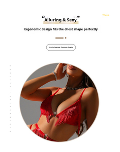 Soutien-gorge triangle transparent avec jarretière 3 pièces Boho Chic vêtements de nuit-ensemble de lingerie à pampilles de luxe - Product Image 5