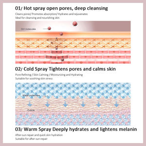 Vaporisateur facial électrique chaud, froid et tiède, trois jets nano, hydratant, nettoyant les pores, pour usage domestique - Product Image 2
