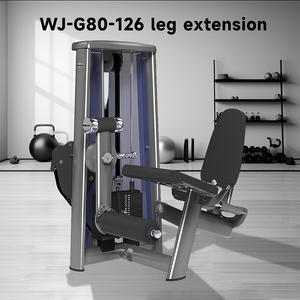 Equipo de gimnasio ajustable comercial para culturismo Máquina de carga de pines de fitness para extensión de piernas de entrenamiento de ejercicio - Product Image 4