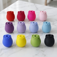 Vibrateur à succion rose, ventouse clitoridienne, succion des seins, rechargeable par USB, 10 fréquences, jouet sexuel pour femmes adultes