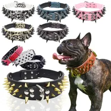 Accesorios inteligentes para mascotas