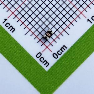 Whole -Sale SDCW2012H-2-670TF 0805 2012 Inductors Common Mode Chokes 320mA 0.3ohm 67ohm - Product Image 1