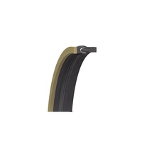 Sello de Asiento Energizado por Resorte de PTFE API 6A para Equipos de Pozos Petroleros y Árboles de Navidad