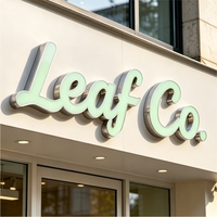 Letras de Canal Luminosas Multicolor con Iluminación Frontal Personalizadas, Grado Comercial, Acrílico en Relieve 3D, Transformador LED, IP54, para Edificios