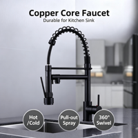 Robinet de cuisine monocommande noir poli avec douchette extractible, mitigeur eau chaude et froide, pour rénovation moderne de l'évier de cuisine