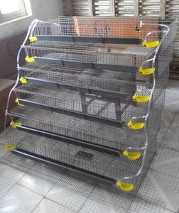 Cages d'élevage de cailles pour l'agriculture avicole, cages à batterie pour cailles pondeuses à vendre - Product Image 4