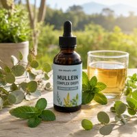 Complément Quotidien Liquide Oral Naturel Végétalien à Base de Plantes pour le Soutien Respiratoire (Mullein, Échinacée) 60ml – Fabrication GMP, OEM, ODM, Marque Privée