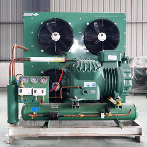 Small <strong>R134a</strong> Refrigeration Condensing Unit Core Motor Component Cold Room for Sale - Product Image 2