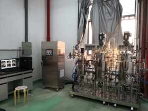 Fermentation Equipment <b>Pilot</b> Cell Bioreactor Lowmaintenance bioreactor Ceramic bearings singleuse <b>bags</b> Budgetfriendly - Product Image 5