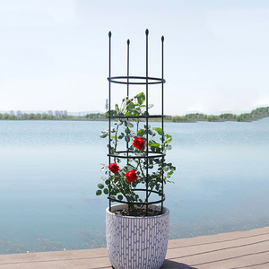 Treillis rond en fer pour plantes 120x30cm Noir Unité simple pour utilisation en extérieur dans le jardin - Product Image 2