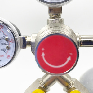 วาล์วลดแรงดัน 1/4 นิ้ว แบบสองทาง สำหรับถัง CO2 อุปกรณ์อาหาร KLF05-02 - Product Image 2