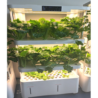 Armoire de culture hydroponique intelligente professionnelle pour la culture de légumes frais