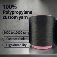 Flammhemmendes Weiches Hohlfaser 100% Polypropylen FDY Garn (OE Technik 300D Denier) Hochvolumiges Rohmaterial 48F für Warme Pullover Schals