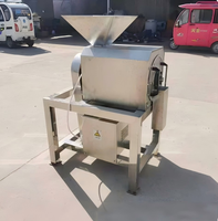 Industriële fruitontpitter en -pulper, commerciële grote machine voor het pellen en pulperen van mango, gember en jujube
