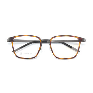 Montures de lunettes en titane Wdgweld, rectangulaires, monture complète, légères, unisexes, vente en gros Danyang - Product Image 2