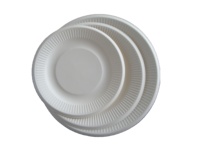 Assiette en papier bagasse blanche jetable 6 pouces 7 pouces 8 pouces canne à sucre vaisselle sûre pour le voyage et le camping plats et assiettes