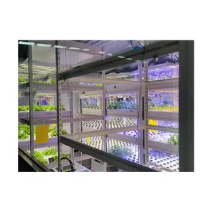Customization Indoor Hydroponics Microgreen Growing System Agriculture Greenhouse Hydroponics Container Farm Plant Factory