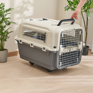 Cage de <span class=keywords><strong>transport</strong></span> pour animaux de compagnie en plastique rigide rectangulaire modèle 450 avec fenêtre en fer pour bagages à main pour chat/<span class=keywords><strong>chien</strong></span> - Product Image 5