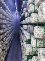 Conteneur de culture hydroponique de champignons Hezhou 40FT HM-40FT, système intelligent à haut rendement et à économie d'énergie, certifié ISO9001 pour les exploitations agricoles