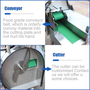 Machine de découpe de légumes commerciale, fournie directement par l'usine, pour la laitue, le gingembre, le chou, le concombre et la carotte - Product Image 2