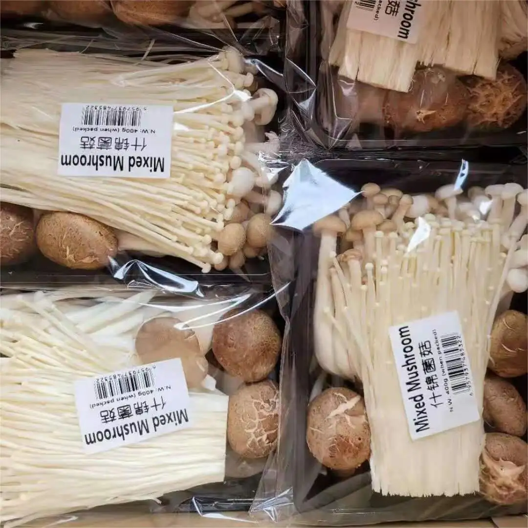 Vente en Chine d'un mélange de champignons dont shiitake Enoki Eryngii shimeji