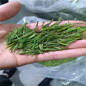 2024 año fresco Natural Anji té blanco <span class=keywords><strong>sabor</strong></span> fragante Anji Bai Cha - Product Image 4