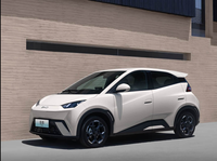BYD Seagull Édition Conduite Intelligente 2024, 305 km d'autonomie, Charge Rapide, Automatique, Pick-up 5 Portes, Sièges en Tissu R16, Conduite à Gauche, Électrique