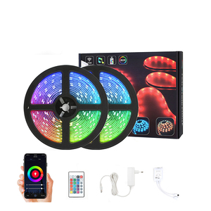 Tira de luces Led Rgb, lámpara con control remoto táctil de 220V, venta directa de fábrica - Product Image 6
