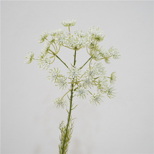 Offre Spéciale de dentelle de fleur de carotte blanche de haute qualité décor artificiel pour mariage maison et fête pour l'obtention du diplôme et noël - Product Image 4