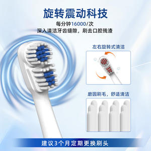 Brosse à dents électrique Weston pour adultes, tête ronde rotative, poils doux, alimentée par piles, étanche IPX4, corps en plastique, bleu, rose, rouge - Product Image 3