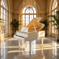 ArtDream Good Quality and Affordable Price Grand Piano,Professional Acoustic Piano,home and Student Wholesale Piano