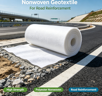 Géotextile non tissé en polyester haute résistance pour le renforcement routier
