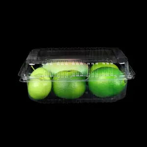 Récipient en plastique transparent jetable pour aliments fruits orange mangue emballage à clapet boîte en plastique avec couvercle à charnière