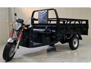 Véhicule <span class=keywords><strong>de</strong></span> transport <span class=keywords><strong>de</strong></span> marchandises en bon état <span class=keywords><strong>de</strong></span> marche, transporteur électrique, capacité 2 tonnes, meilleur prix - Product Image 3