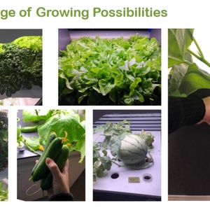 Greenjoy Home Grow Box, étagère de culture verticale, plateaux de culture en plastique, plateaux de culture hydroponique pour jardin intelligent d'intérieur - Product Image 6