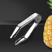 Huishoudelijke roestvrijstalen fruit- en groentegereedschappen, waaronder een ananasontpitter en een aardbeienpeller