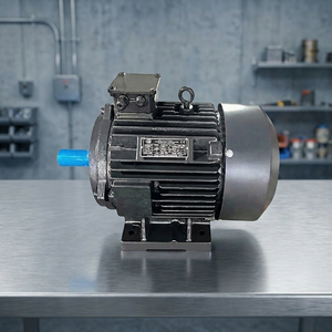 Moteur électrique de qualité supérieure de 15 CV, puissant moteur industriel triphasé conçu pour les machines à haute performance et pour un fonctionnement continu. - Product Image 3