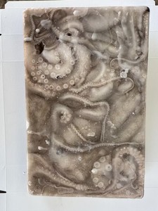 Obtener Precio Ahora: Pulpo Congelado, Calamar, Pulpo - Product Image 4