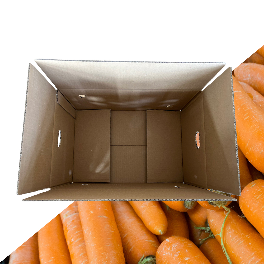 Fruit Carton Packaging Box Paper Carton for mango