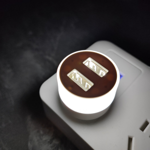 Hot Sell Mini White Warm White Plug-in 2 USB <strong>Interface</strong> 5V LED Portable Mini LED Bulb Night Light - Product Image 4
