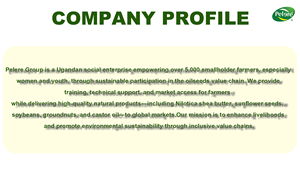 Manteca de Karité Nilotica Orgánica de Uganda, Vegana, Herbal, en Tambor de 250 kg para Suministro Industrial a Granel, Uso Corporal - Product Image 6