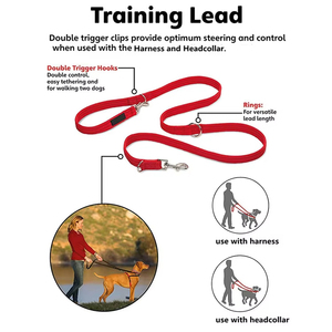 Correa para mascotas para entrenamiento de perros, correa para perros multifuncional de nailon de <span class=keywords><strong>2M</strong></span> personalizada, correa de entrenamiento suave ajustable para perros - Product Image 4