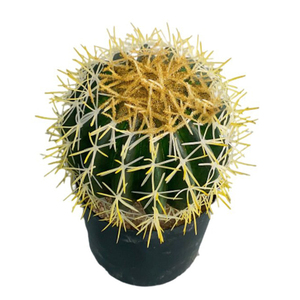 Le Nordique Petit Cactus Artificiel Pot Colonne Plantes Décoratif Faux Artificiel Succulent Cactus Faux Plantes Faux Anlage - Product Image 3