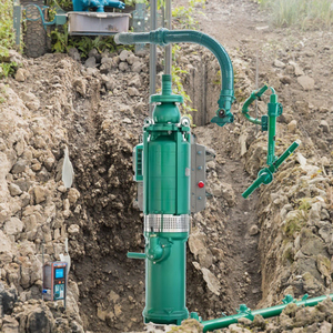 Máy bơm chìm tốc độ thấp cỡ trung bình 40,8hp QY với độ tin cậy cao cho các giải pháp tưới tiêu và tưới vườn tiên tiến - Product Image 4